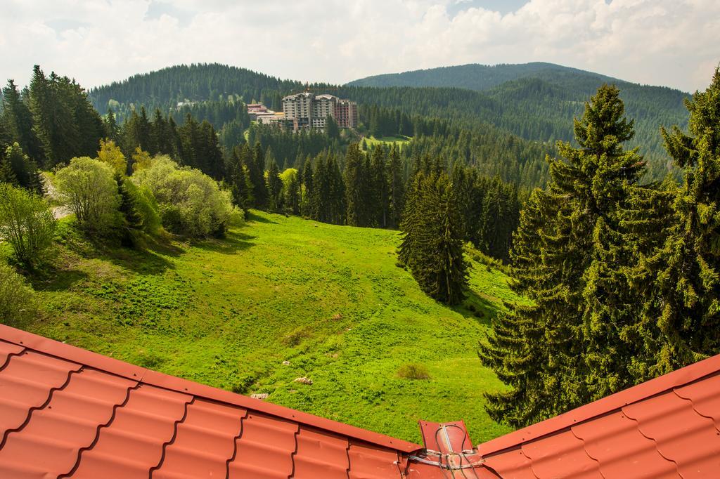 Snezhanka Hotel Pamporovo Kültér fotó